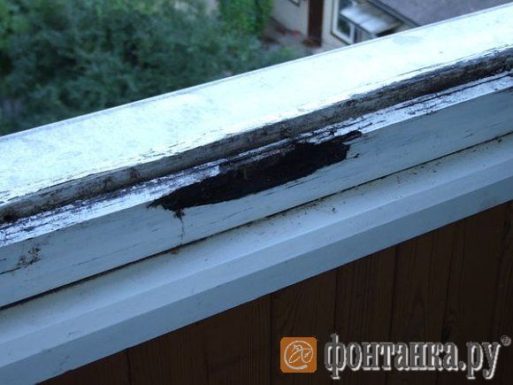 Рамы уже практически сгнили. Можно ожидать расцвета плесени под подоконником. Это признак аварийной ситуации